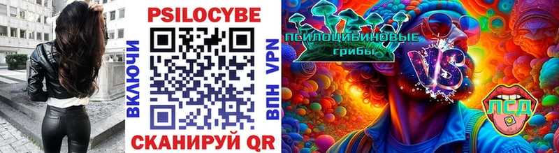 kraken ТОР Туран Галлюциногенные грибы MAGIC MUSHROOMS наркотики