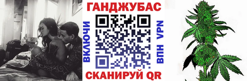 закладка  Туран  Канабис гибрид 